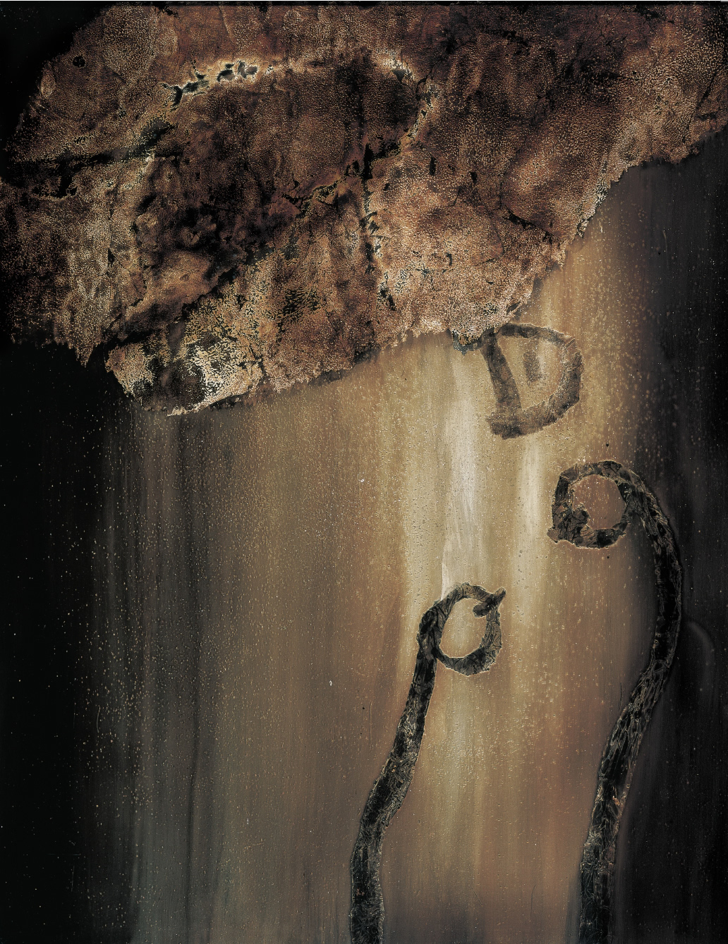 蘇國(guó)偉漆畫(huà)作品集